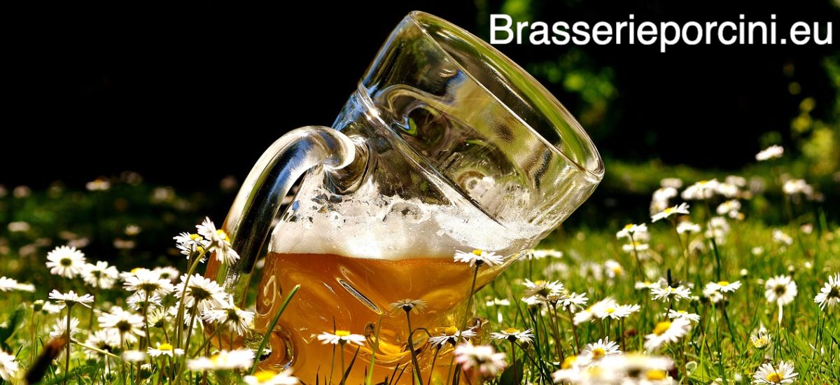 brasserieporcini.wiki.express